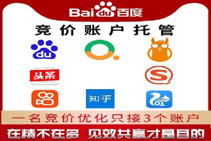 搜索引擎营销（SEM）的精准投放技巧案例